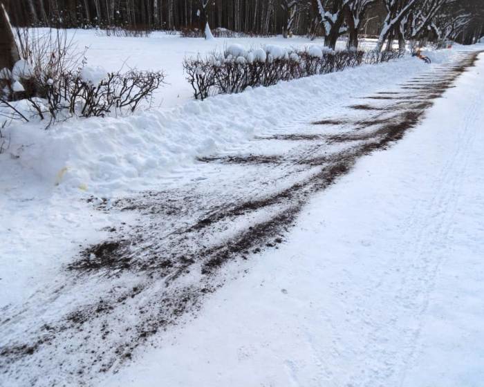 Снег почти растаял и хотя дорога. Тропинка посыпанная песком. Просьба посыпать дорожки.