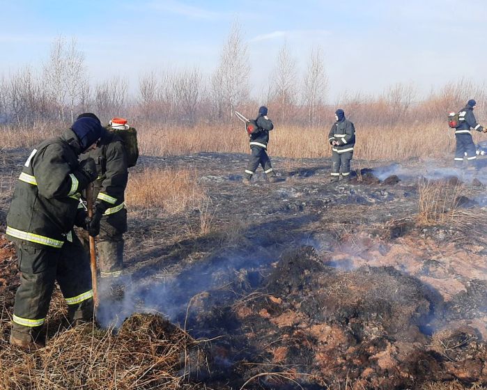 Вырос на урале. Поджигатели леса в Свердловской области.