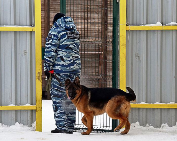 Свердловские полицейские раскрыли более 30 тысяч преступлений